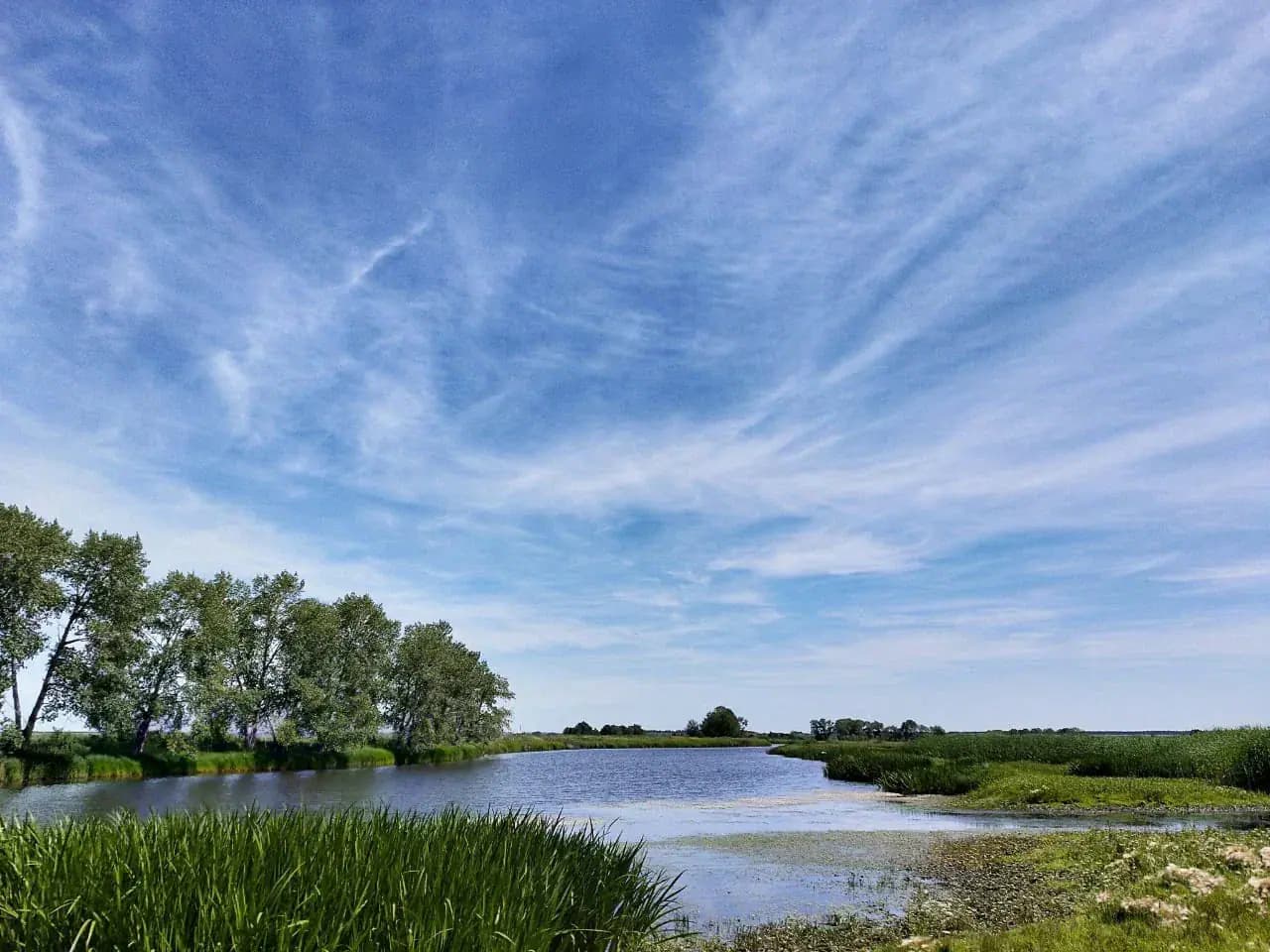 район