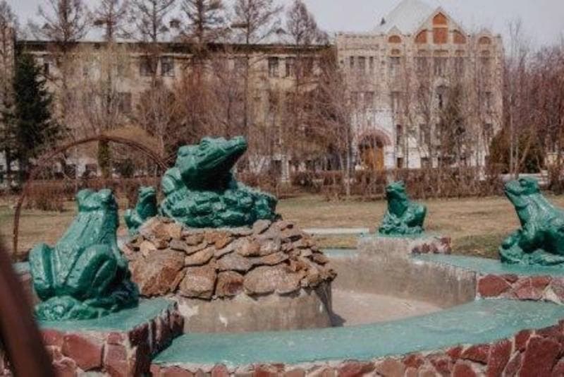 Pearl Omsk suburbs
