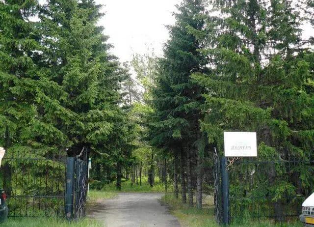 o-dendroparke-imeni-p-s-komissarova